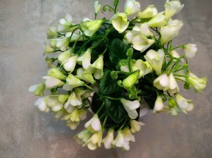 Emerald bell