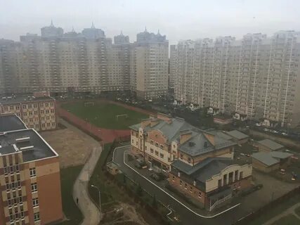 Кузнечики 1 комнатная