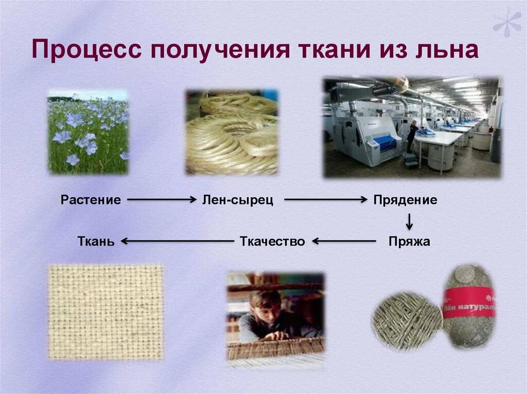 Лён производство ткани. Сырье льняной ткани. Процесс производства ткани из хлопка. Процесс производства ткани из льна.