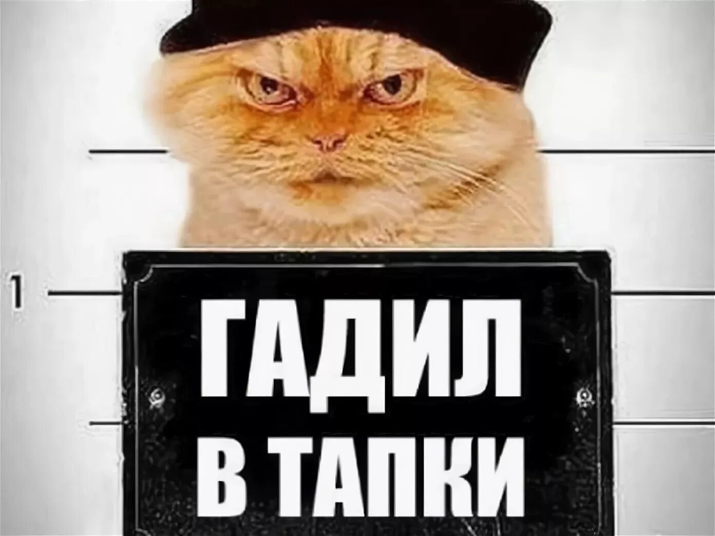 Пипец котенку читать