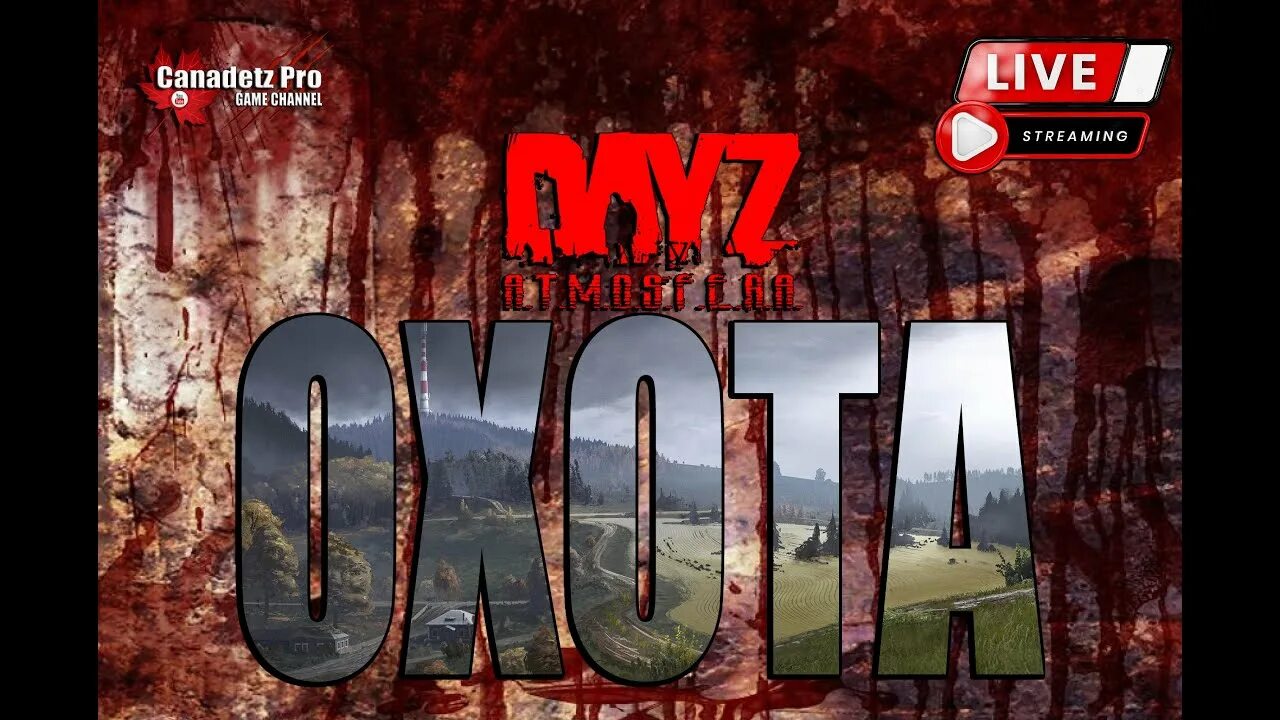 Hard pve. DAYZ атмосфера. Дейзи атмосфера Хард. Qwant PVE дейз. Охота в Дейзи.