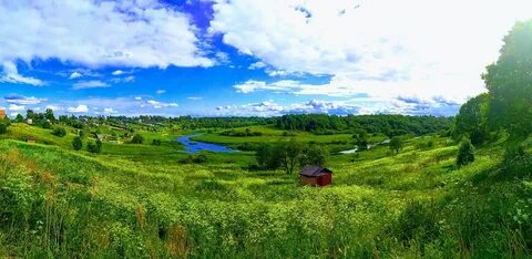 Ло поли