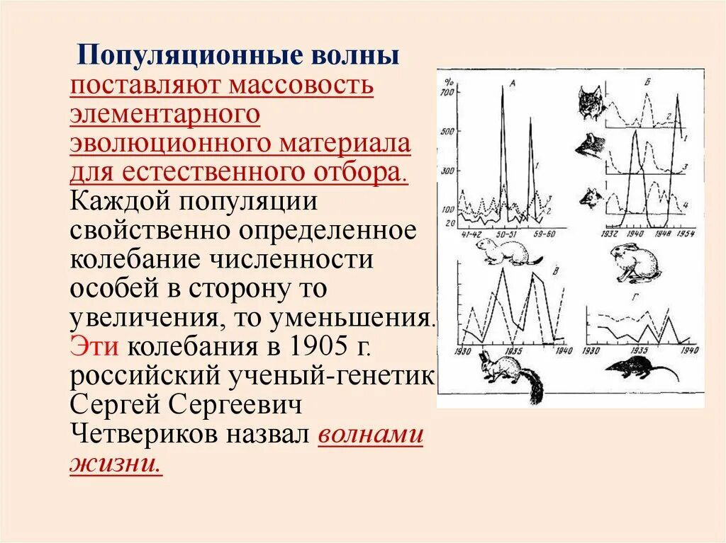 Что такое популяционные волны. Популяционные волны. колебания численности популяции. популяционные волны и естественный отбор различия. популяционные волны в эволюции.