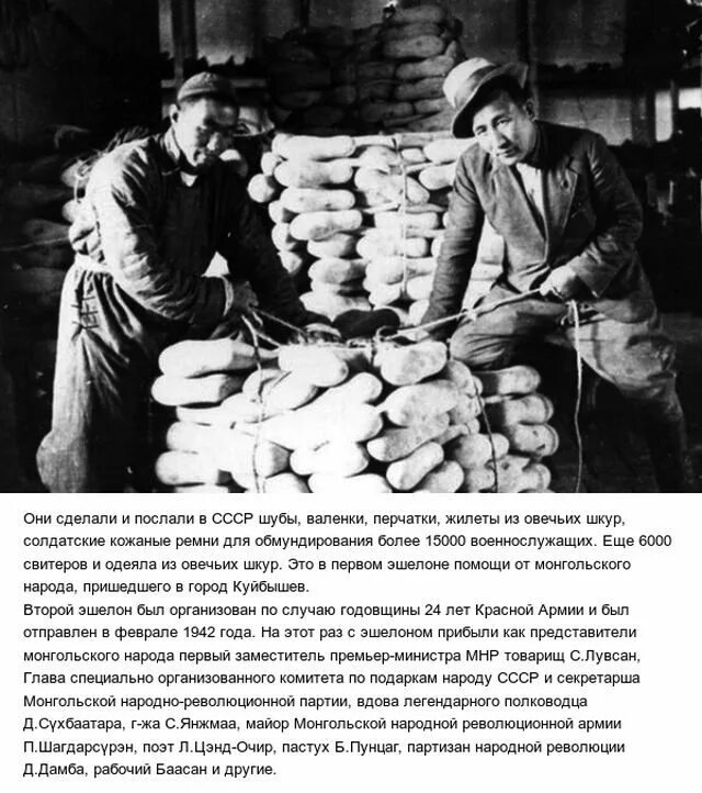 Помощь монголии в великой отечественной. Помощь монголии в великой отечественной