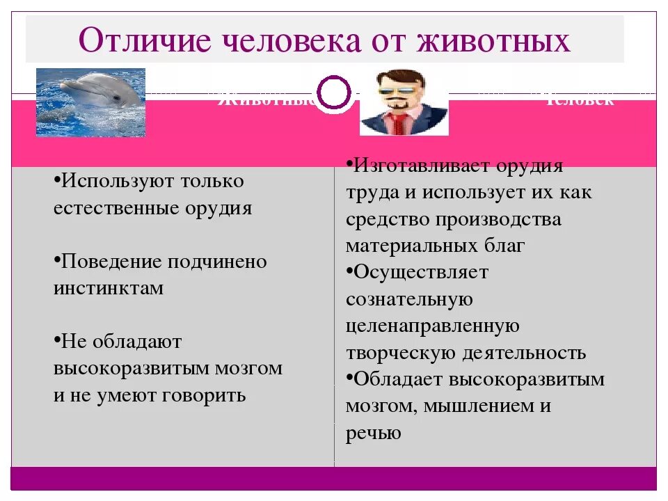 Что отличает человека. Отличие человека от животных. Различие человека и животного Обществознание. Различия человека и животного таблица. Отличие человека от животных Обществознание.