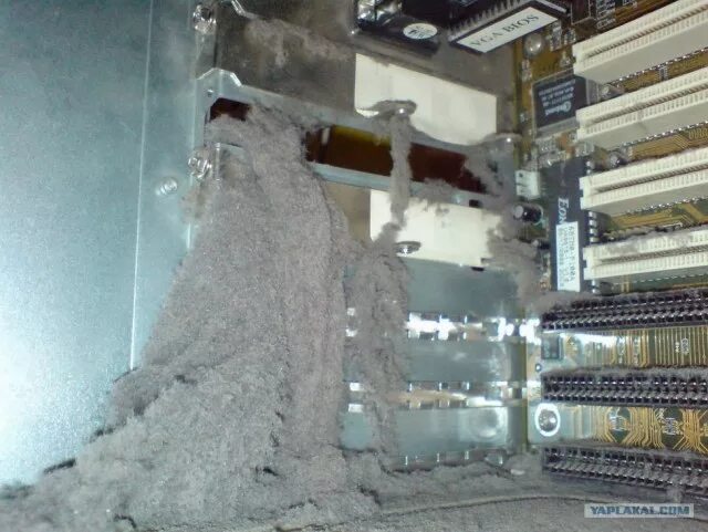 Почему дома много пыли. Очень пыльный компьютер. Много пыли. Сервер в пыли. Воздействие пыли компьютера.