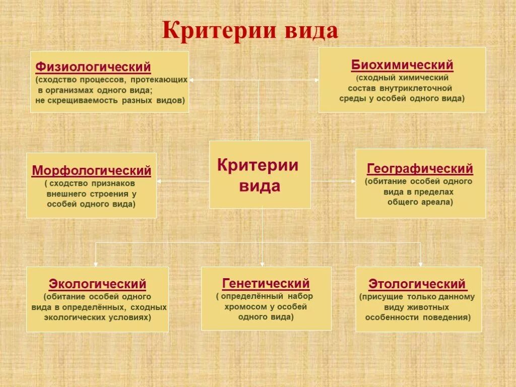 Физиологические признаки это в биологии. Признаки экологического и морфологического критерия.