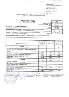 Пример заполнения упрощенной бухгалтерской отчетности
