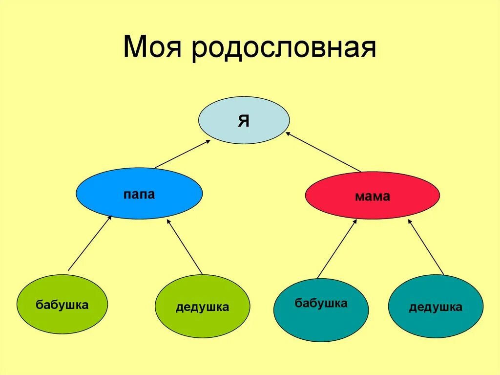 Проект моя семья в истории россии продолжи. Моя родословная. Проект моя родословная. Составить проект моя родословная. Проектная работа родословная.