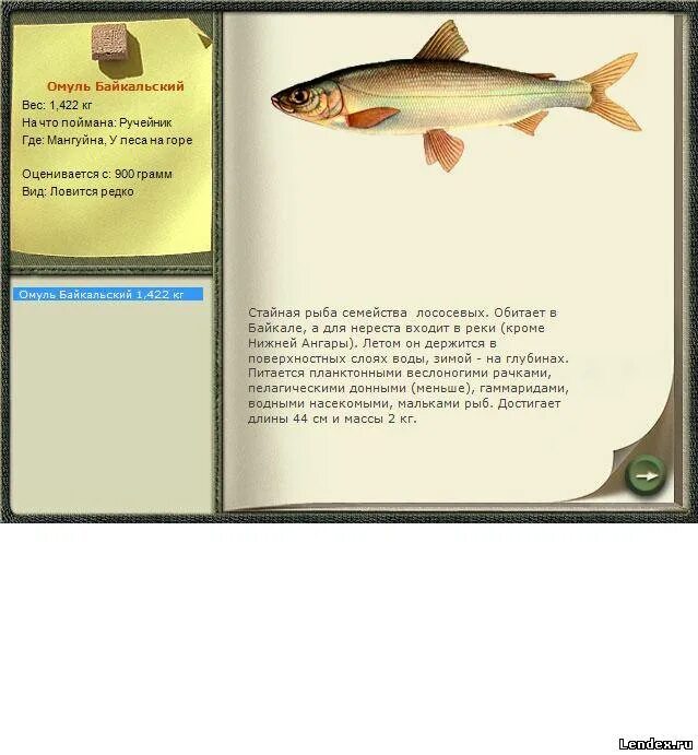 нельма рыба. рыба омуль байкальский размер. байкальский омуль сообщение. русская рыбалка 3 7 5 енисей омуль байкальский. омуль место обитания.