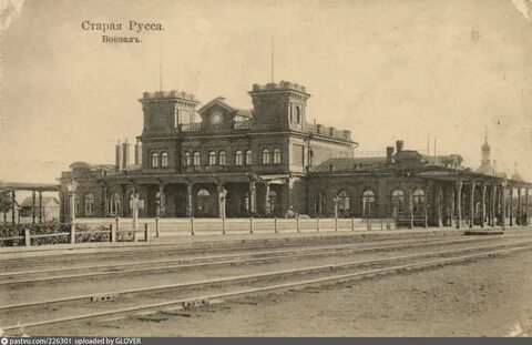 Кедр старая русса