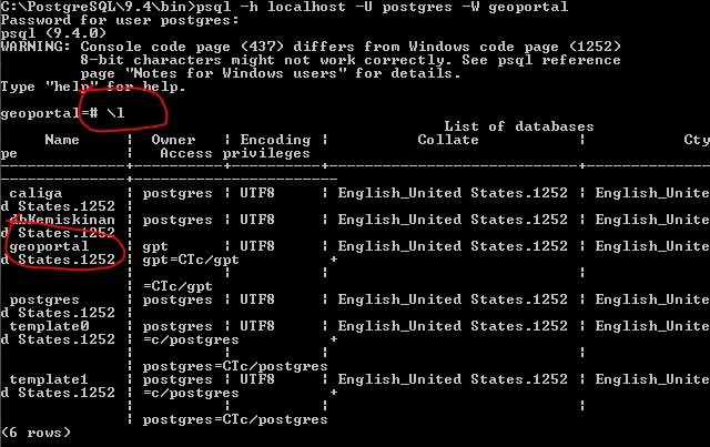 Bitnami postgresql