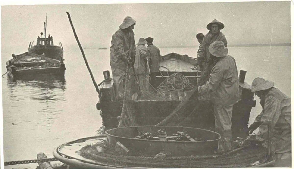 Эпрон 1941. Ханты-Мансийск рыбоконсервный комбинат. Самаровский рыбоконсервный комбинат. Югра в годы войны 1941-1945. Хорошие артели