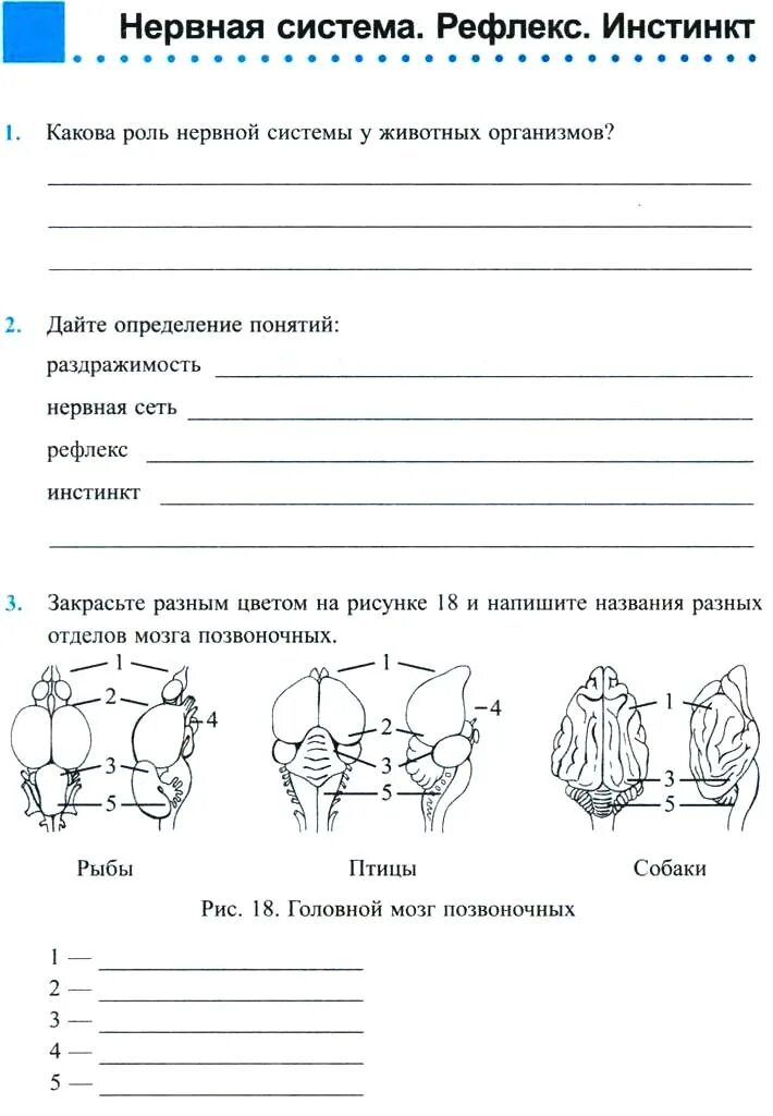 Инстинкт 7 класс. Нервная система рефлекс инстинкт. Таблица нервная система рефлекс инстинкт 7 класс биология. Таблица по биологии нервная система.рефлекс.инстинкт. Нервная система рефлекс инстинкт таблица животных.