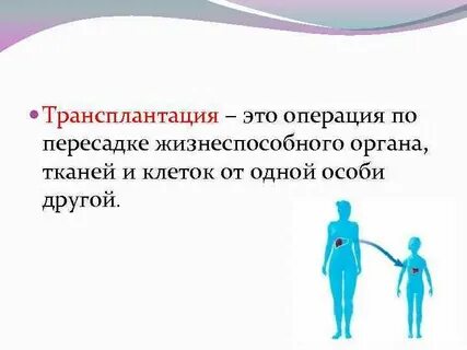 Трансплантация это