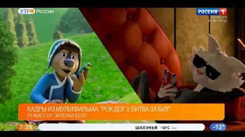 Дог 3 битва за бит