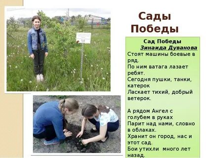 Проект сад победы в детских садах