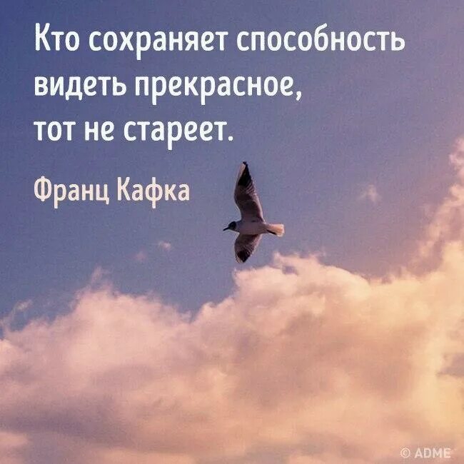 Оставайтесь всегда молоды душой. Умение видеть прекрасное. Способность видеть прекрасное. Человек видит прекрасное. Умение видеть в людях хорошее.