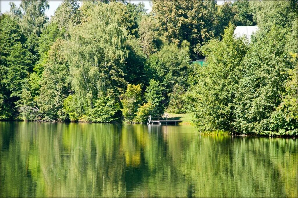 Лучшие пруды подмосковья