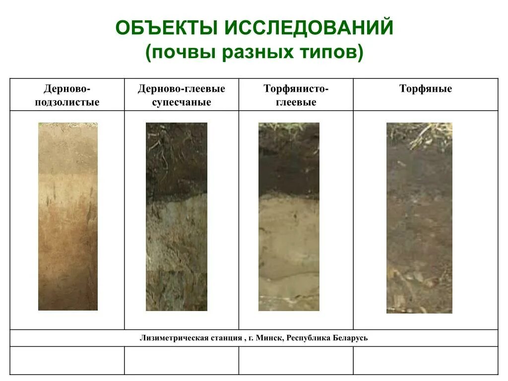 Подзолистые почвы Тип почвы. Почвенный профиль подзолистых почв схема. Подзолисто глеевая почва. Почвенный профиль дерново-подзолистых почв рисунок.