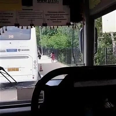 Автобус москва дубна