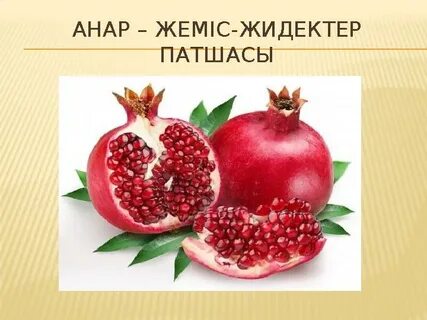 Watch Sex for Life онлайн