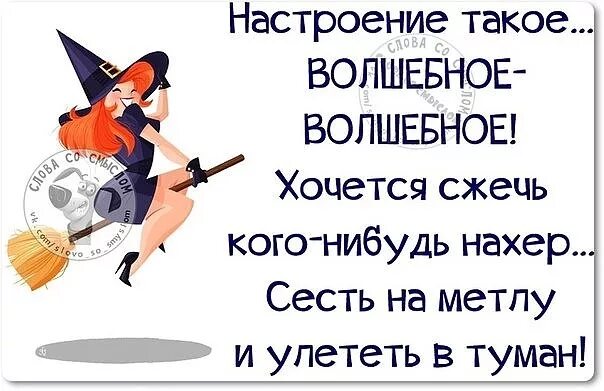 Смешные высказывания про ведьм. Статусы юмор. Шутки про ведьм. Фразы про женское настроение.