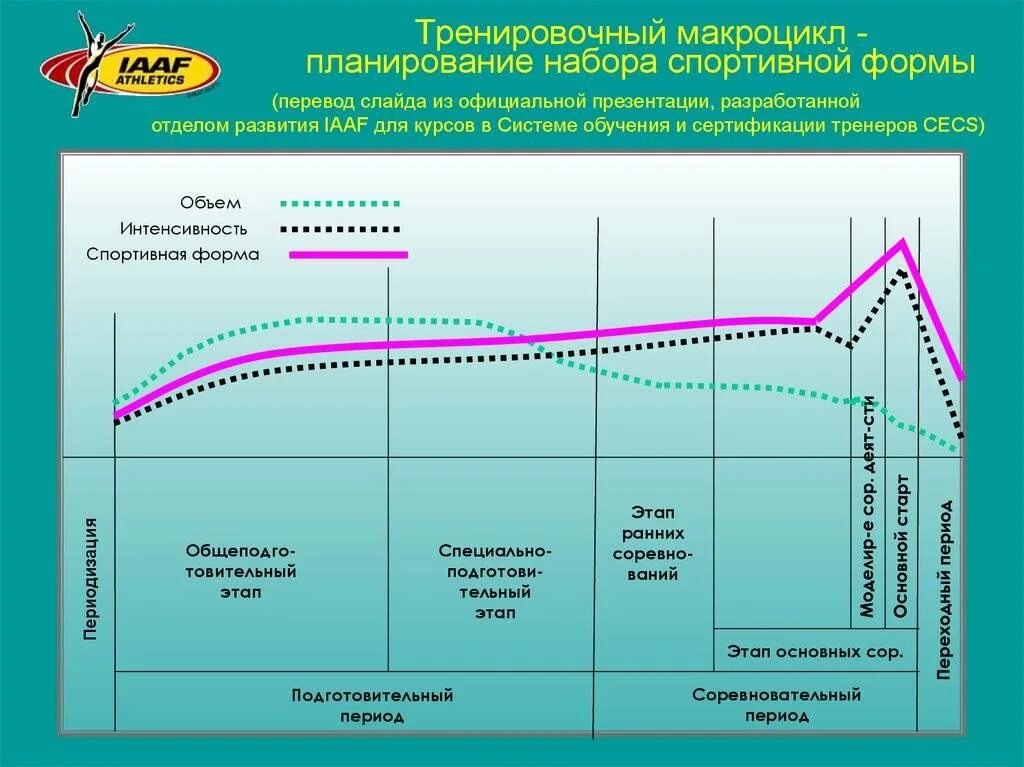 Планирование тренировочного процесса. Построение спортивной тренировки. Планирование и построение спортивной тренировки. Периодизация спортивной тренировки.