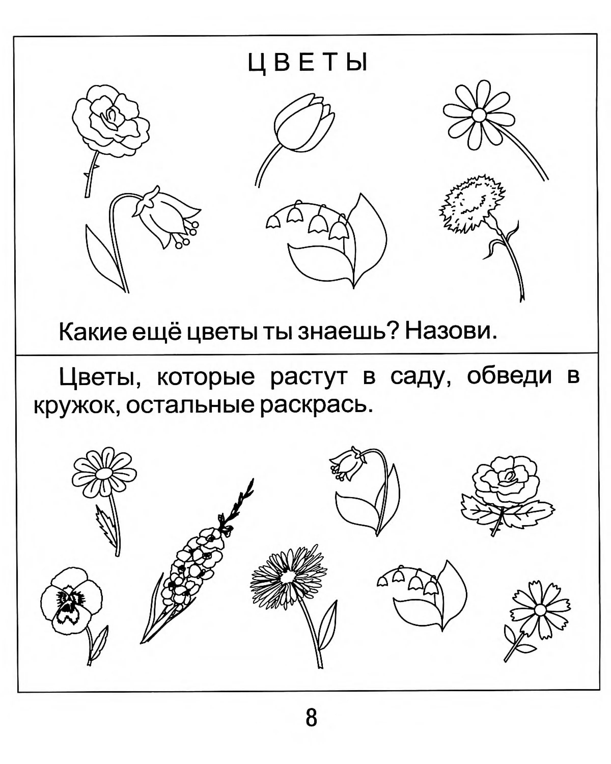 Цветы задания для дошкольников. Названия цветов для дошкольников. Задания на тему садовые цветы. Задания для дошкольников. Цветы задания для малышей.