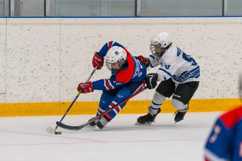 президент хоккея спб. ска аврора команда девочек 2009. президент хоккея спб. керамик хк. хк ска-амур команда.