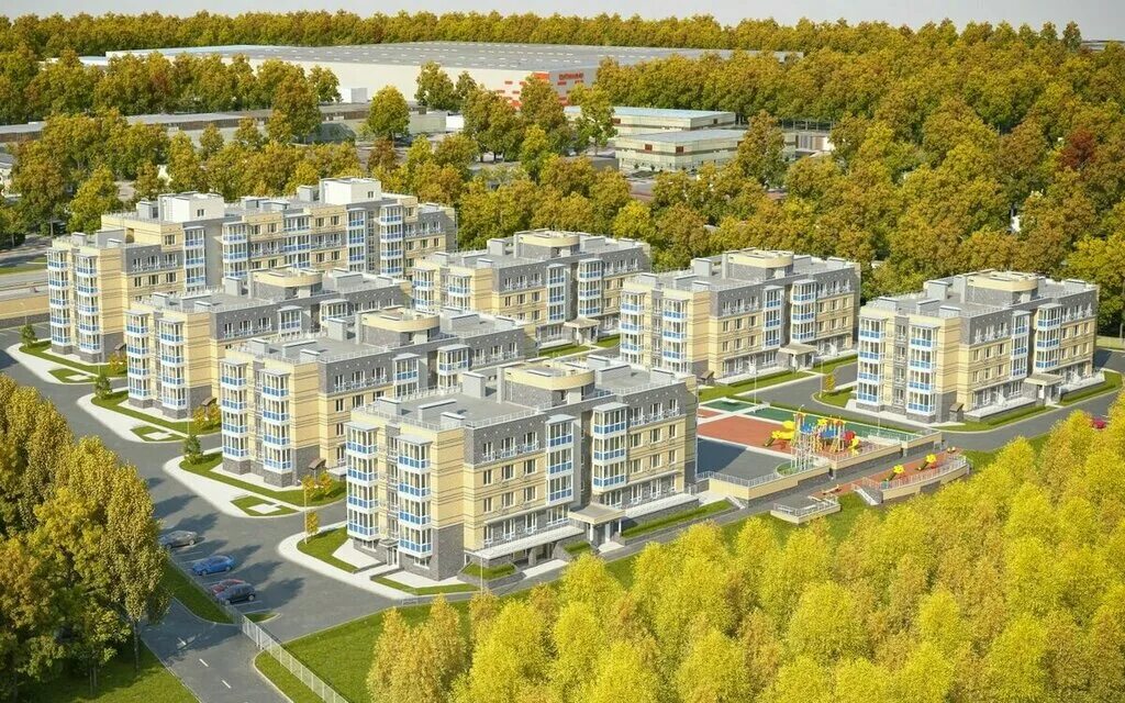 березовая роща рязань. берёзовая роща в ростове. березовая роща ростов на дону. жк березовая роща ростов. березовая роща ростов на дону лес.