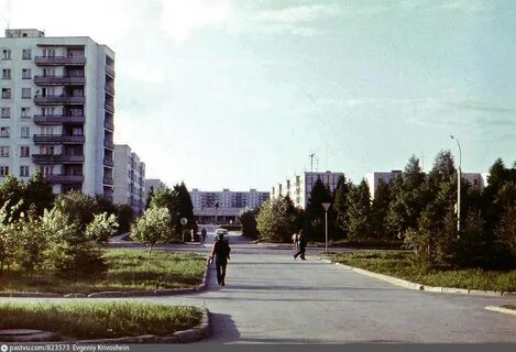 День краснообска