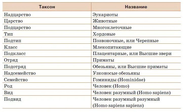 Домен таксон. Таксон царство Подцарство. Царство Тип класс род. Семейство класс вид Тип отряд. Тип класс отряд семейство род вид.