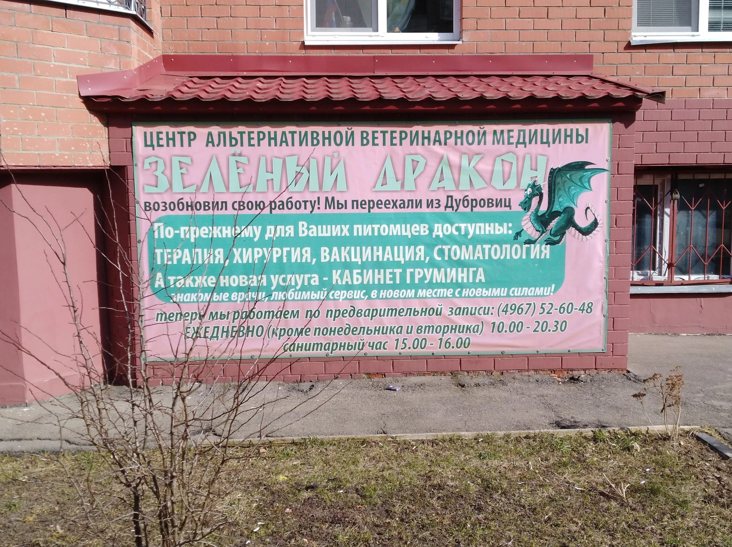 бело-зеленый дракон виверн. зеленый дракон хуайсан. зеленый дракон подольск. ветклиника подольск. лесной дракон днд.