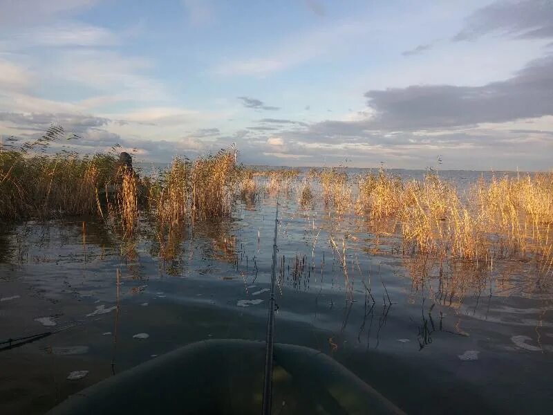 Уелги озеро в Челябинской области. Озеро Уелги Челябинская область рыбалка. Озеро Кунашак Челябинская. Озеро Уелги Челябинская область рыбалка летом.