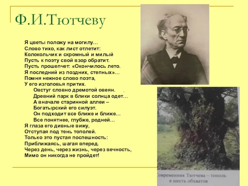 Стихи фёдора Ивановича Тютчева. Тихо как. Тютчев о Крымской войне. Ф. И. Тютчев. «Чему бы жизнь нас ни учила…».