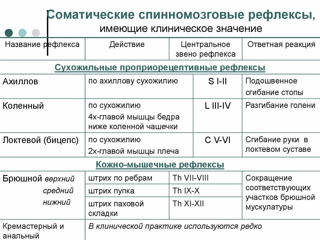 Спинномозговые рефлексы таблица