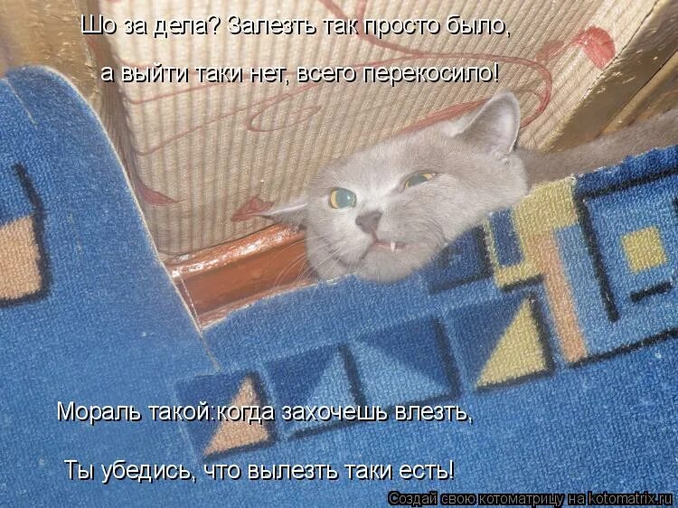 шутки про евреев. еврей мем таки да. как раз-таки как. таки нет. правописание частицы таки.