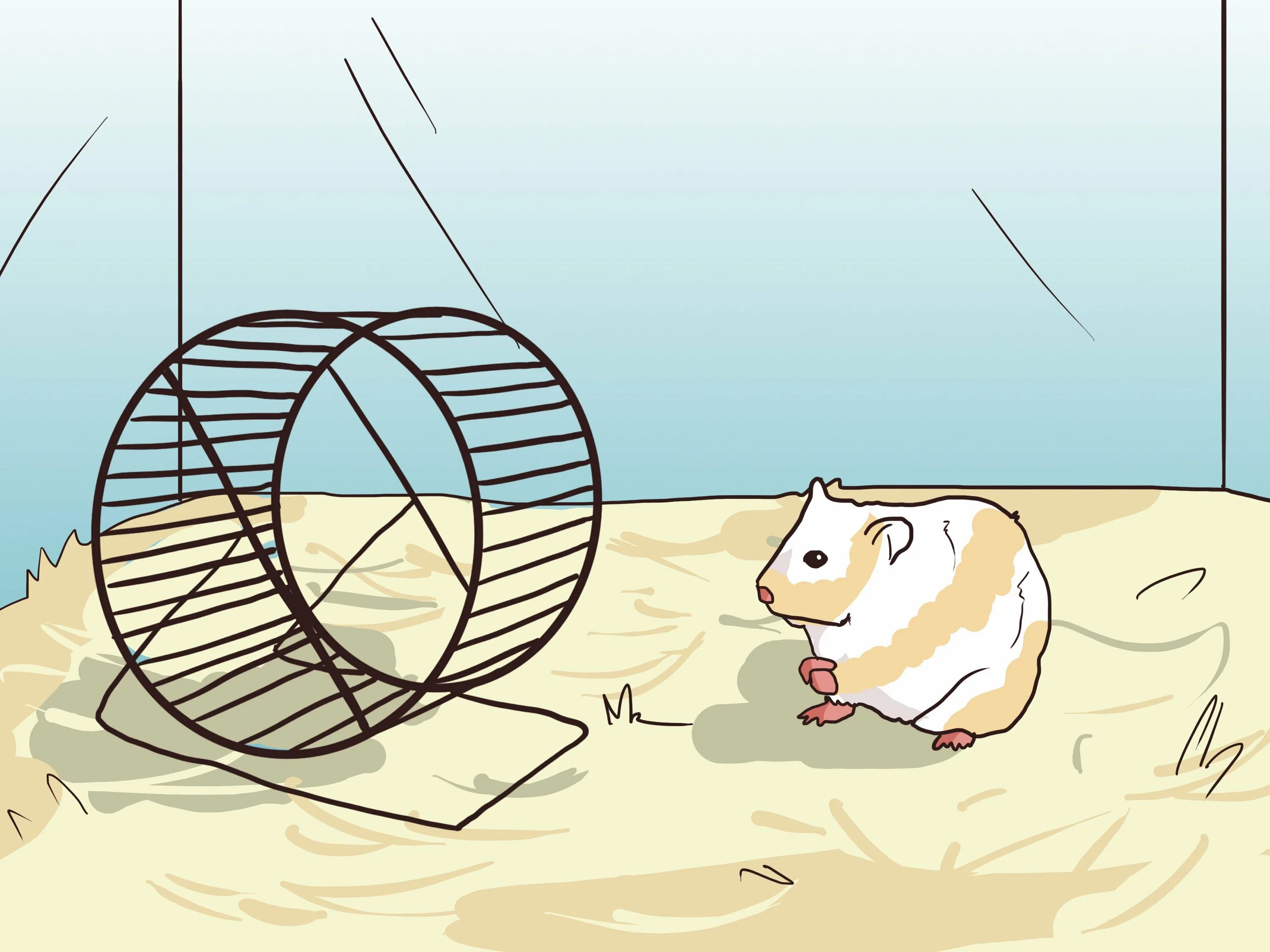 Hamster oracle