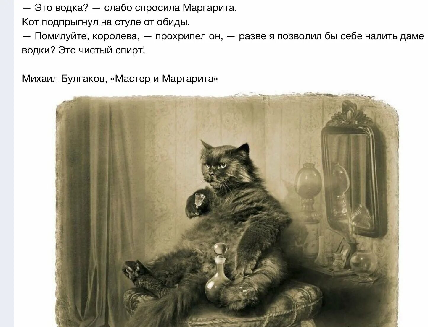 Кот бегемот тише а то они услышат. Кот бегемот из мастера и маргариты. цитаты кота бегемота из мастера и маргариты.