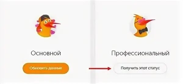 Как выглядит профессиональный статус qiwi. Основной статус киви. киви повысить статус. qiwi профессиональный статус переход. регистрация на киви на статус основной.