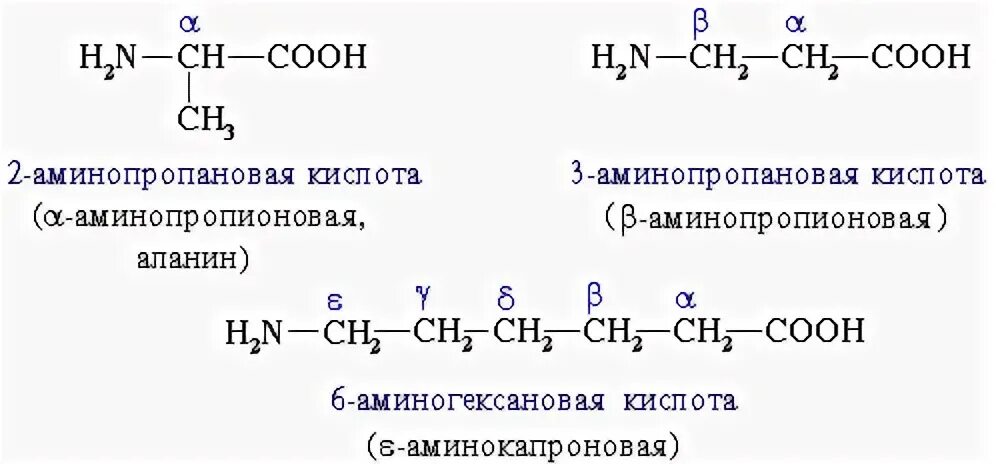 Формула 3-аминопропионовой кислоты. 2 Аминопропионовая кислота структурная формула. Формула аминопропановой кислоты. Структурная формула бета аминопропионовой кислоты. 3 аминопропионовой кислоты