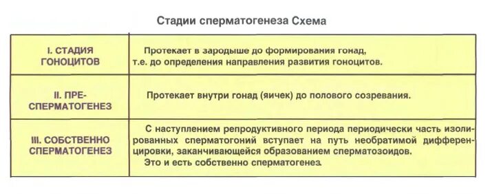 Гистология таблицы. Гистология таблица. гистология в схемах и таблицах. ткани гистология таблица. выполнения таблицы гистология.