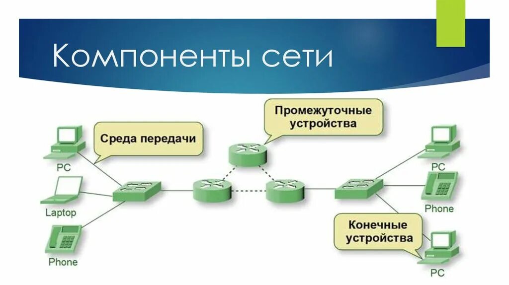 Сеть местный сайт. Основные компоненты сети. Компоненты локальной сети. Основные компоненты локальной сети. Компоненты локальной сети схема.