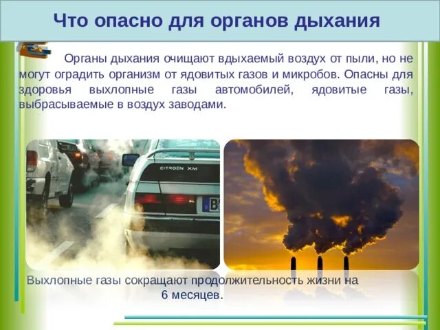 Ядовитые выхлопные газы автомобилей