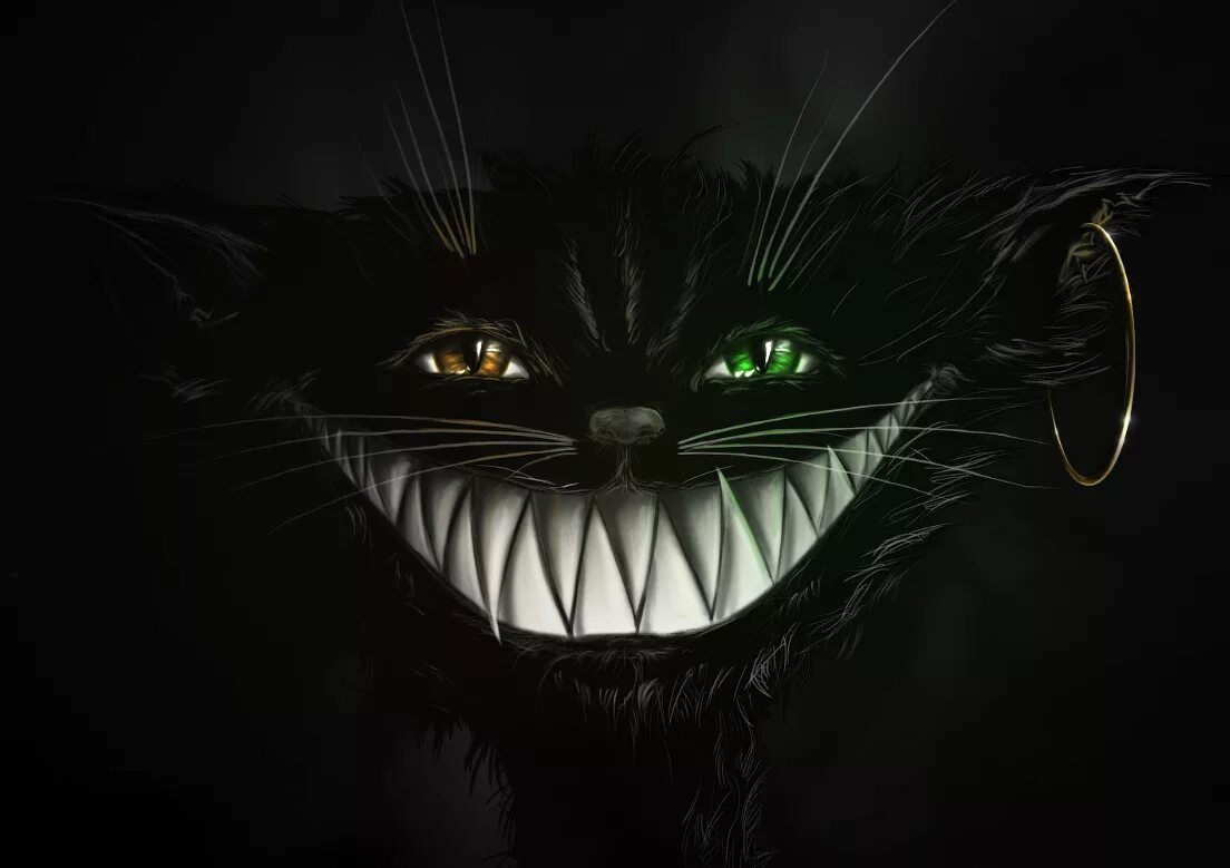 чеширский кот из алисы в стране чудес. чеширский кот черный. 13 черная кошка. улыбка черного кота. чеширский кот.
