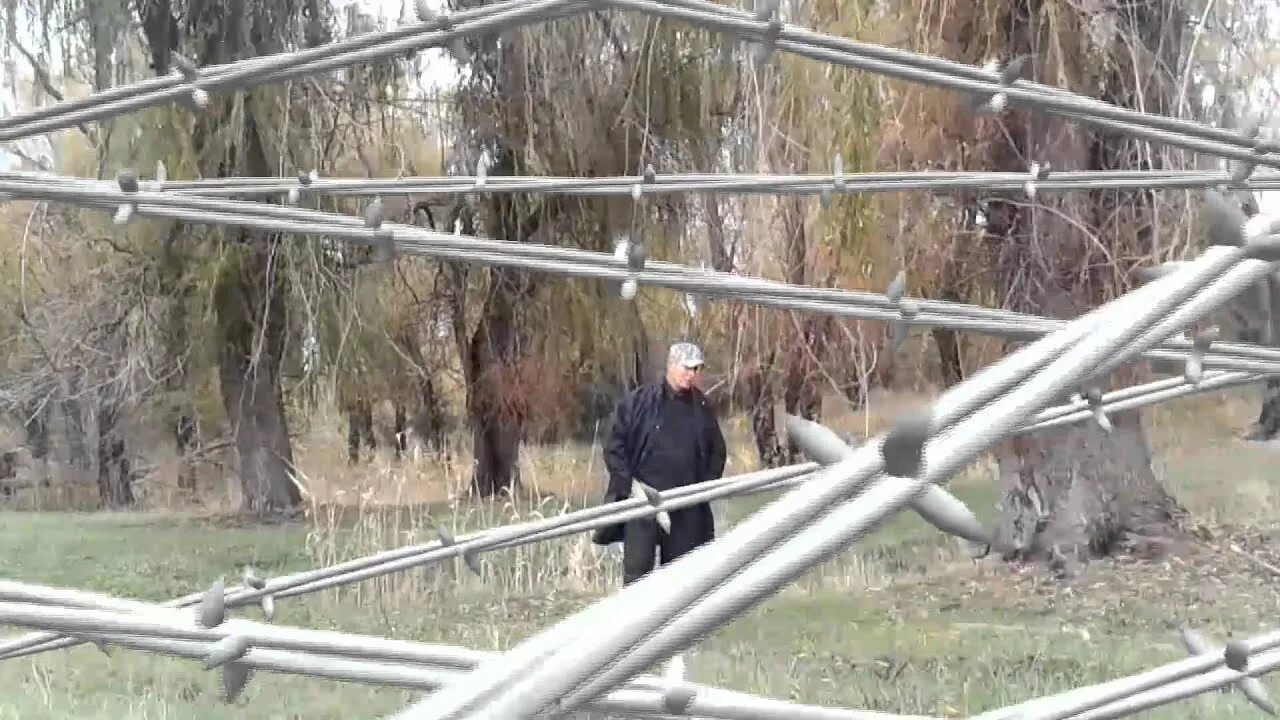 Полетят мотыльки над тайгой слушать. Полетят мотыльки над тайгой воровайки. воровайки мотыльки фото.