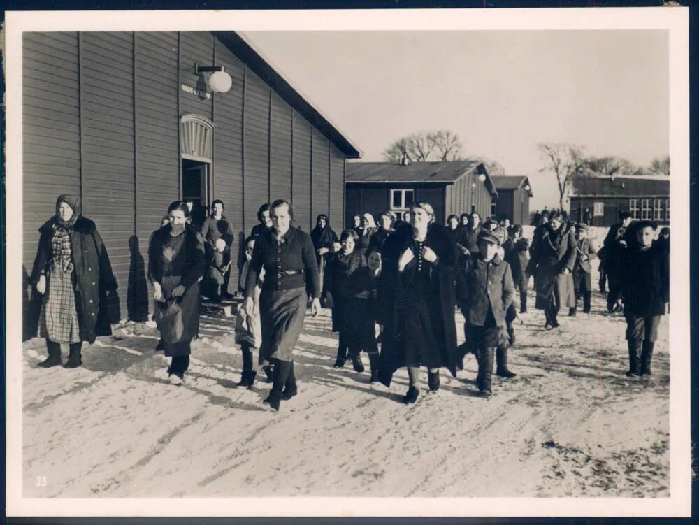 Депортация 1941. Трудармия немцы Поволжья. Трудармия немцы Поволжья 1941. Трудовая армия немцев Поволжья. Переселение немцев из Поволжья 1941.