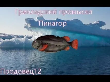 Рр3 норвежский промысел