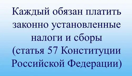статусы про глупых людей со смыслом. высказывания про ошибки в жизни. каждый должен сам платить за свою глупость. каждый должен сам платить за свою глупость. каждый должен платить.